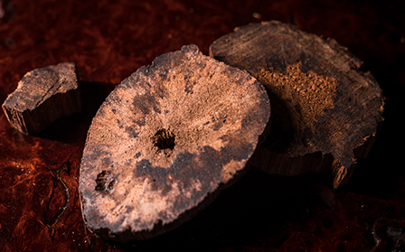 春醒 — 清慧香